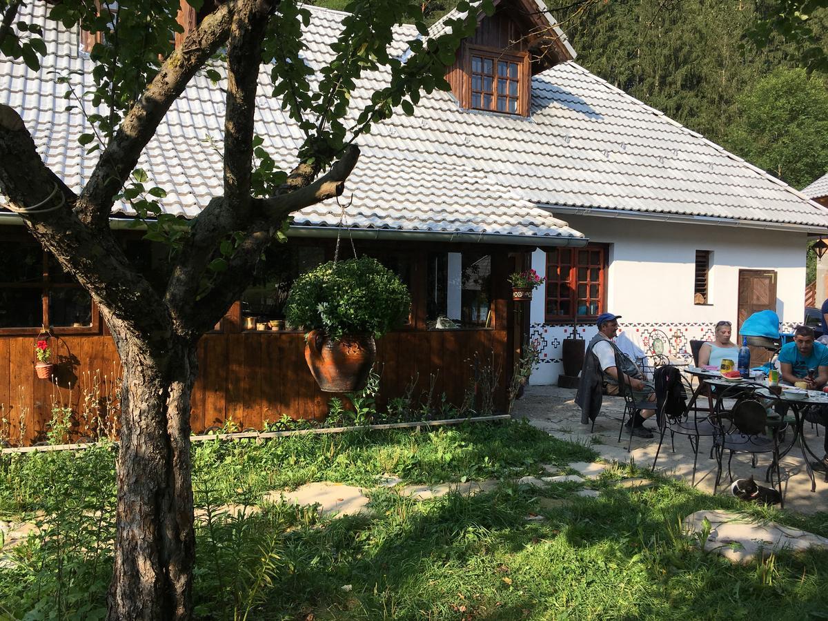Gospodaria Lui Nea Ion Вама Бузулуй Екстериор снимка